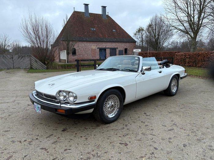 Jaguar - XJS 5.3 V12 - 1989, Auto's, Oldtimers