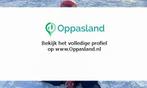 Ik ben Minne en ik zoek oppaswerk in Sprundel., Diensten en Vakmensen, Dieren | Katten | Verzorging, Oppas en Les