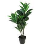 Ficus Elastica 70cm lt. groen, Huis en Inrichting, Nieuw, Ophalen of Verzenden