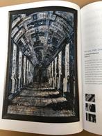 Kunst - Tom Swinkels - Stadsgezichten en Gebouwen - NIEUW, Boeken, Ophalen of Verzenden, Zo goed als nieuw, Schilder- en Tekenkunst
