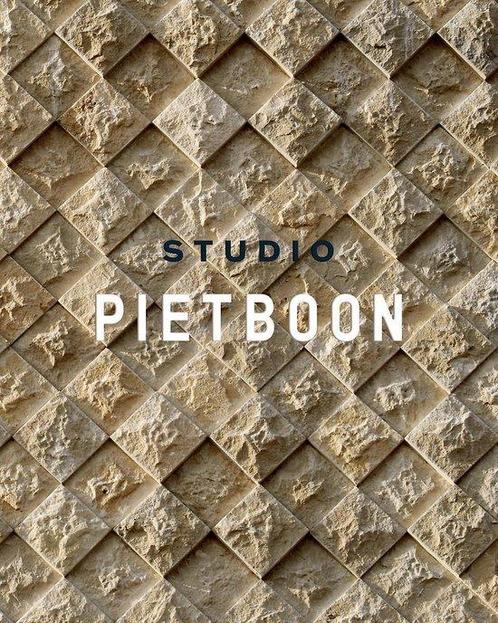9789089896629 Piet Boon | Tweedehands, Boeken, Studieboeken en Cursussen, Zo goed als nieuw, Verzenden