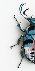 F2B - Beetle Girl IV 1I8, Antiek en Kunst