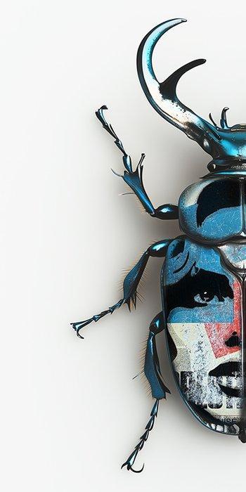 F2B - Beetle Girl IV 1I8, Antiek en Kunst, Kunst | Schilderijen | Modern