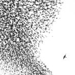 cd - Wilco - Sky Blue Sky, Verzenden, Zo goed als nieuw