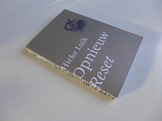 Opnieuw Reset Hieke Luik 9789081607407 Hieke Luik, Boeken, Kunst en Cultuur | Beeldend, Gelezen, Verzenden