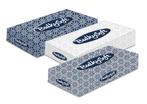 BulkySoft facial tissue box 2-lgs 100 vel (40), Verzenden