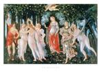 Kunstdruk Sandro Botticelli - Primavera 70x50cm, Verzenden, Nieuw