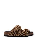 Scholl slippers dames 38 bruin, Scholl, Verzenden, Nieuw, Bruin
