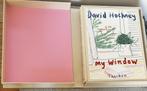 David Hockney - Gesigneerd Baby Sumo My Window - Taschen, Antiek en Kunst, Kunst | Litho's en Zeefdrukken, Verzenden