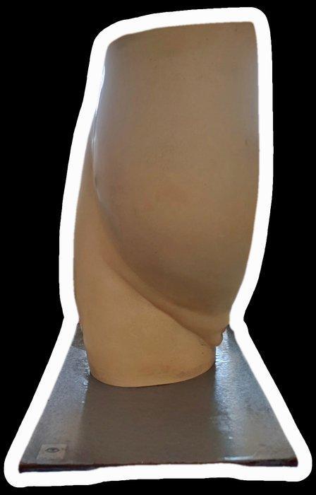Anatomisch model - Hars - 1950-1960 - Vrouw in verwachting -, Antiek en Kunst, Antiek | Overige Antiek