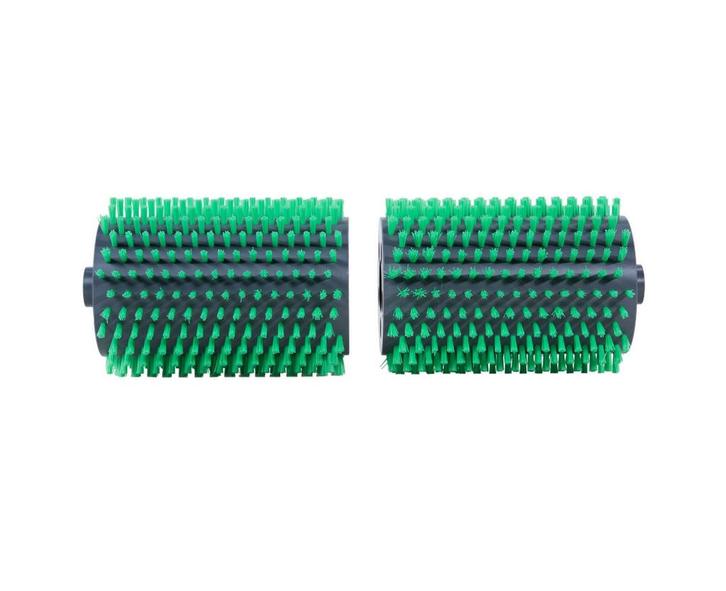 AquaForte Biopool plus borstelset voor Zodiac Alpha Bio, Tuin en Terras, Zwembad-toebehoren, Nieuw, Verzenden