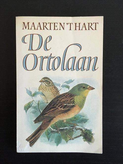 De ortolaan 9789070066451 Maarten t Hart, Boeken, Overige Boeken, Gelezen, Verzenden
