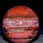 Fossiele houten bol uit Madagaskar. - Gefossiliseerd hout -, Verzamelen, Nieuw