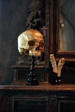 NO RESERVE PRICE - Stunning Replica Of Upper Human Skull on, Antiek en Kunst