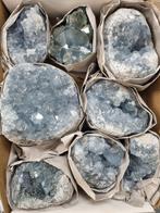 Big Lot HQ Celestine, Celestite CLUSTERS 9,5 - 7,5 cm, Verzamelen, Mineralen en Fossielen