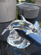 Swarovski - Beeldje - Dolphin - 190365 - Boxed + Certificate