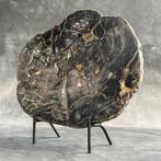 C - Prachtig groot stuk versteend hout op een op maat, Antiek en Kunst