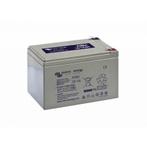 Victron AGM Accu 12V/14Ah, Ophalen of Verzenden, Nieuw