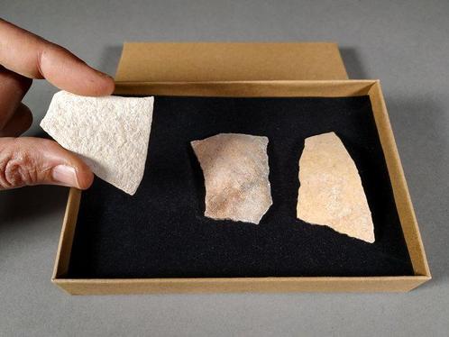 Fragment van een Aepyornis-ei - Fossiel fragment - Aepyornis, Verzamelen, Mineralen en Fossielen