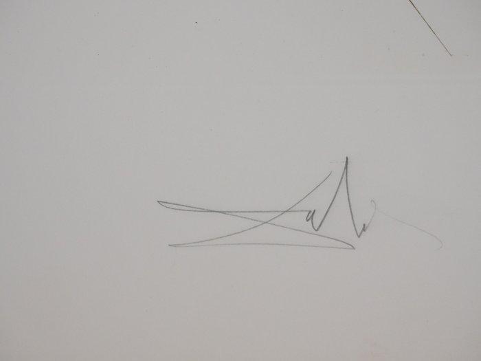 Salvador Dali (1904-1989) - Le colosse, Antiek en Kunst, Antiek | Overige Antiek