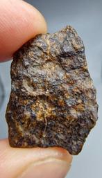 Lodranite Meteoriet. NWA 17904. De meteoriet is een, Verzamelen, Mineralen en Fossielen