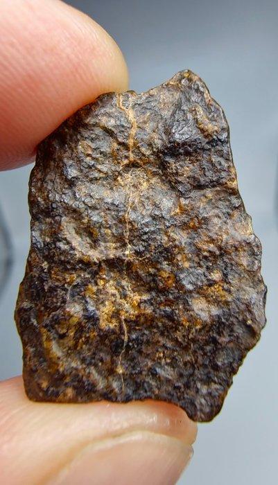 Lodranite Meteoriet. NWA 17904. De meteoriet is een, Verzamelen, Mineralen en Fossielen