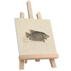 Tafelezel Andy - 37 cm Beukenhout, Hobby en Vrije tijd, Schilderen, Ophalen of Verzenden, Nieuw