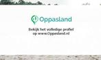 Anne zoekt een oppas in Heemskerk voor 2 kinderen.