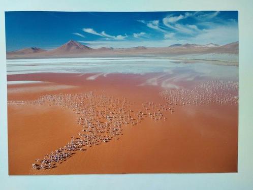 George Steinmetz - GEO travel Poster Bolivia  La Laguna, Antiek en Kunst, Kunst | Tekeningen en Foto's