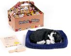Perfect Petzzz - Soft - Zwart Witte Kitten, Ophalen of Verzenden, Zo goed als nieuw