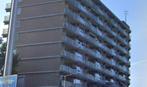 Te Huur 3 kamer Appartement Geessinkweg In Enschede, Direct bij eigenaar, Overijssel, Enschede, Appartement