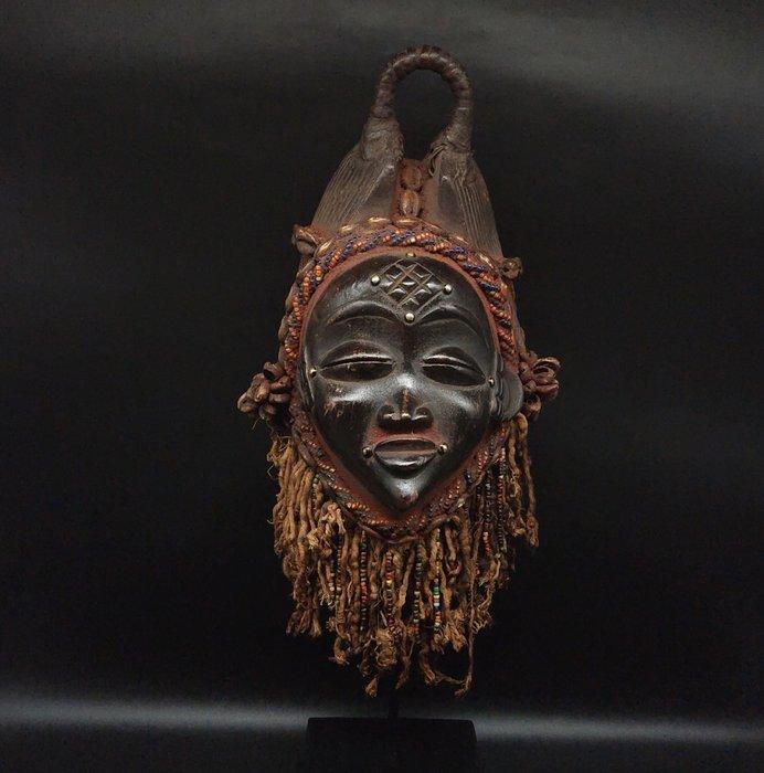 Prachtig - masker - Punu - Gabon (Zonder Minimumprijs), Antiek en Kunst, Kunst | Niet-Westerse kunst