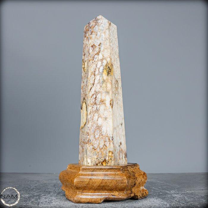 Extreem zeldzaam natuurlijk geagatiseerd koraal Obelisk op, Verzamelen, Mineralen en Fossielen
