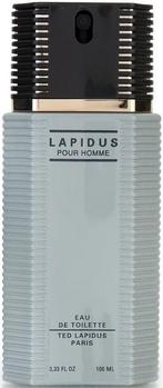TED LAPIDUS POUR HOMME EDT FLES 100 ML, Sieraden, Tassen en Uiterlijk, Verzenden, Nieuw
