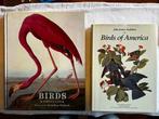 John James Audubon/ Katrina Cook - Birds of America / Birds