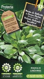 Protecta Groente zaden: Veldsla Hollands breedblad, Tuin en Terras, Bloembollen en Zaden, Ophalen of Verzenden