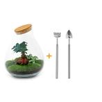 DIY terrarium - Drop XL Bonsai - 37 cm - Rake + Shovel, Huis en Inrichting, Kamerplanten, Verzenden