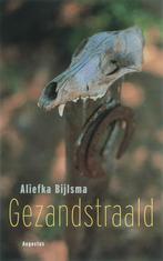 Gezandstraald 9789045700687 Aliefka Bijlsma, Boeken, Verzenden, Gelezen, Aliefka Bijlsma