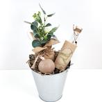 Miss Bucket -  Naturel Eucalyptus 2, Hobby en Vrije tijd, Verzenden, Nieuw