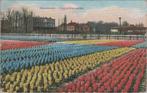 HEEMSTEDE - Hyacinthenvelden, Verzamelen, Ansichtkaarten | Nederland, Verzenden, Gelopen