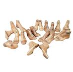 Forme da Calzolaio - Werktuig (20) - Anatomische modellen