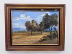 Vincenzo Udine (1898-1981) - Paesaggio di campagna, Antiek en Kunst