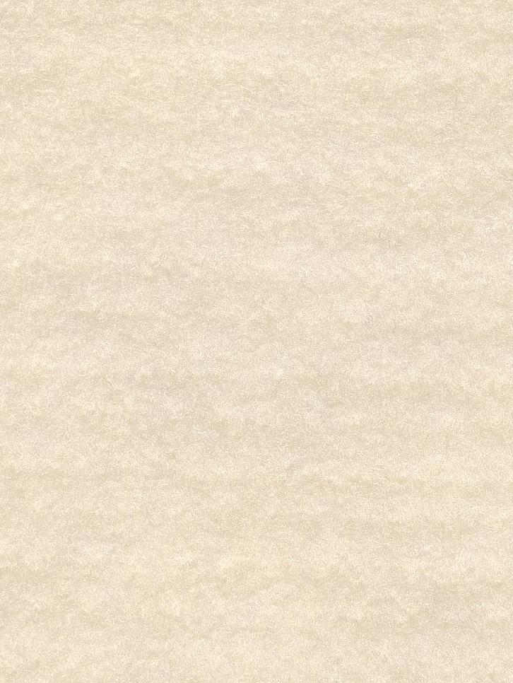 Merino Naaldvlies naturel wit, Hobby en Vrije tijd, Vilt, Overige typen, Nieuw, Ophalen of Verzenden