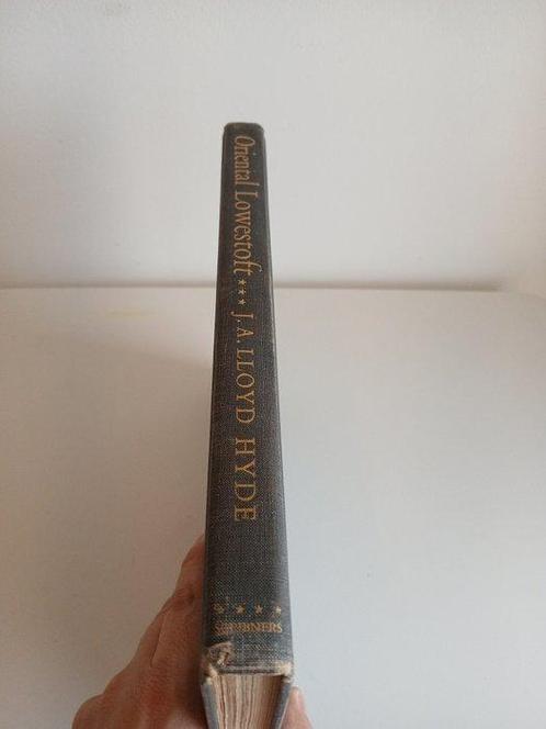 HYDE (J.A. LLoyde) - Oriental Lowestoft - 1936, Antiek en Kunst, Antiek | Overige Antiek
