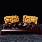 ALGT-gecertificeerd - Grote en meesterlijke natuurlijke