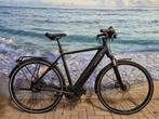 Riese Muller Roadster, 175-185cm, Bosch Performance line cx, Riese & Müller, Ophalen of Verzenden, Zo goed als nieuw, 51 tot 55 cm