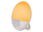 Silvergear Wake Up Light Wekker - Wekker met Licht - Radio -, Witgoed en Apparatuur, Nieuw, Verzenden