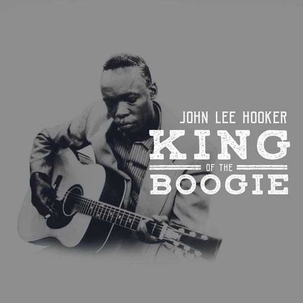 cd box - John Lee Hooker - King Of The Boogie, Cd's en Dvd's, Cd's | Jazz en Blues, Zo goed als nieuw, Verzenden