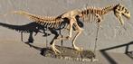 Tyrannosaurus Rex Taxidermie volledige montage -, Verzamelen, Nieuw