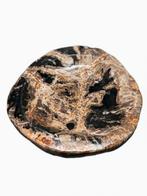 Gepolijste schaal met „Golden Burst“-masering | Indonesië |